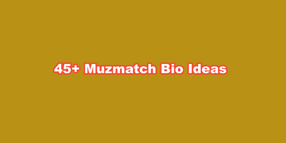 Muzmatch Bio Ideas